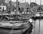 Bilder Niederlande - Holland_5188